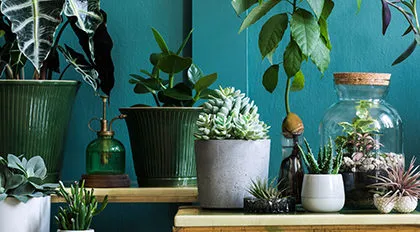 8% OFF em Vasos para o seu jardim