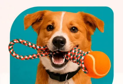 Até 55% OFF em promoções Pet Shop