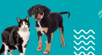 40% OFF — Página de Ofertas do site Cobasi